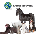 animal-network.com
