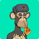 ifo.net