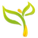 superfooddrinks.org