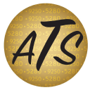 accountingsvs.com