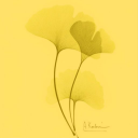 bloom-cocreation.com