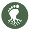 root-footwear.com