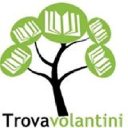 trovavolantini.it