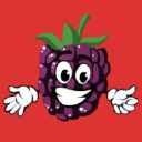 toysenberry.com