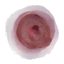 millerspharmacyyass.com.au