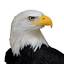 americanfreedomenterprisesllc.com