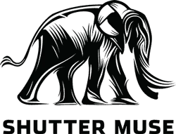 shuttermuse.com