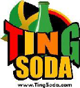 tingsoda.com