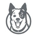 cattledogdigital.io