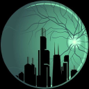 windycityretina.com