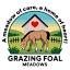 grazingfoal.com