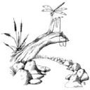 beadsatdusticreek.com