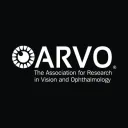 arvo.org