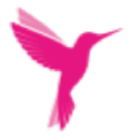 online-birds.com