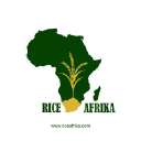 riceafrika.com