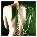 leeds-chiropractic.co.uk