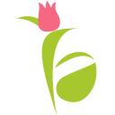 floweraura.com