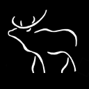 wildlifeart.org
