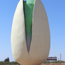 pistachio.land