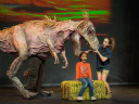 rochesteroperahouse.com