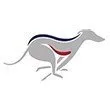nottingham-greyhounds.co.uk