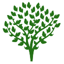 tree-secrets.com