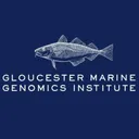 gmgi.org