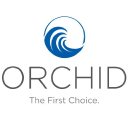orchidinsurance.com