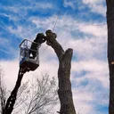 visiontreeservice.com