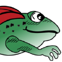 flyingtoadgraphics.com
