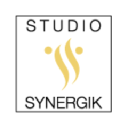 studiosynergik.com