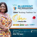blueprintdna.org