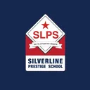 thesilverlineschool.com