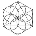 scientificbrands.com