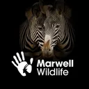 marwell.org.uk