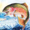 fishshootouts.net