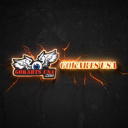 gokartsusa.com