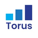 torusadvisors.com