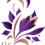 bloom-wellness.ae