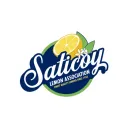 saticoylemon.com