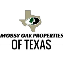 moreoftexas.com