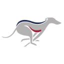 perrybarr-greyhounds.co.uk