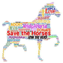 fansofhorseracing.com