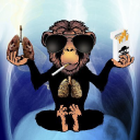 start-smoking.com