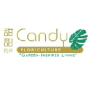 candy.com.sg