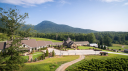 yonahmountainvineyards.com