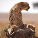 exclusivesavannah.com