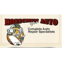 hoeschenautorepair.com