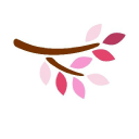 coraltreetech.com