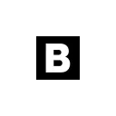 blpprofessional.com